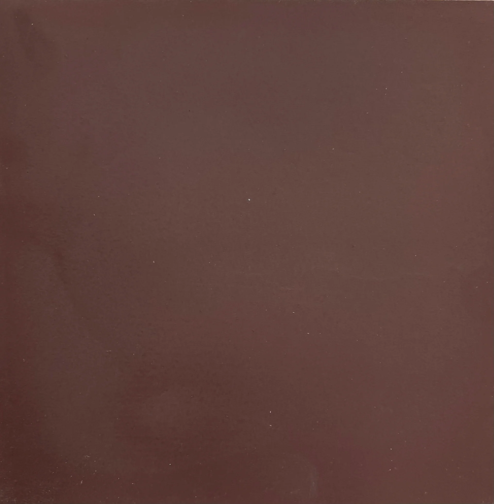 strands // domino x // single tile // sample - Image 6