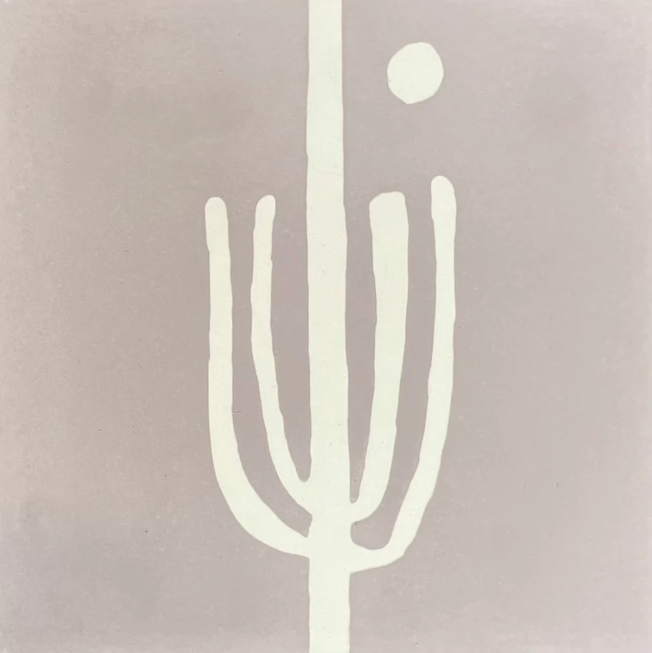 saguaro  //  box of 13  //  indio x - Image 2