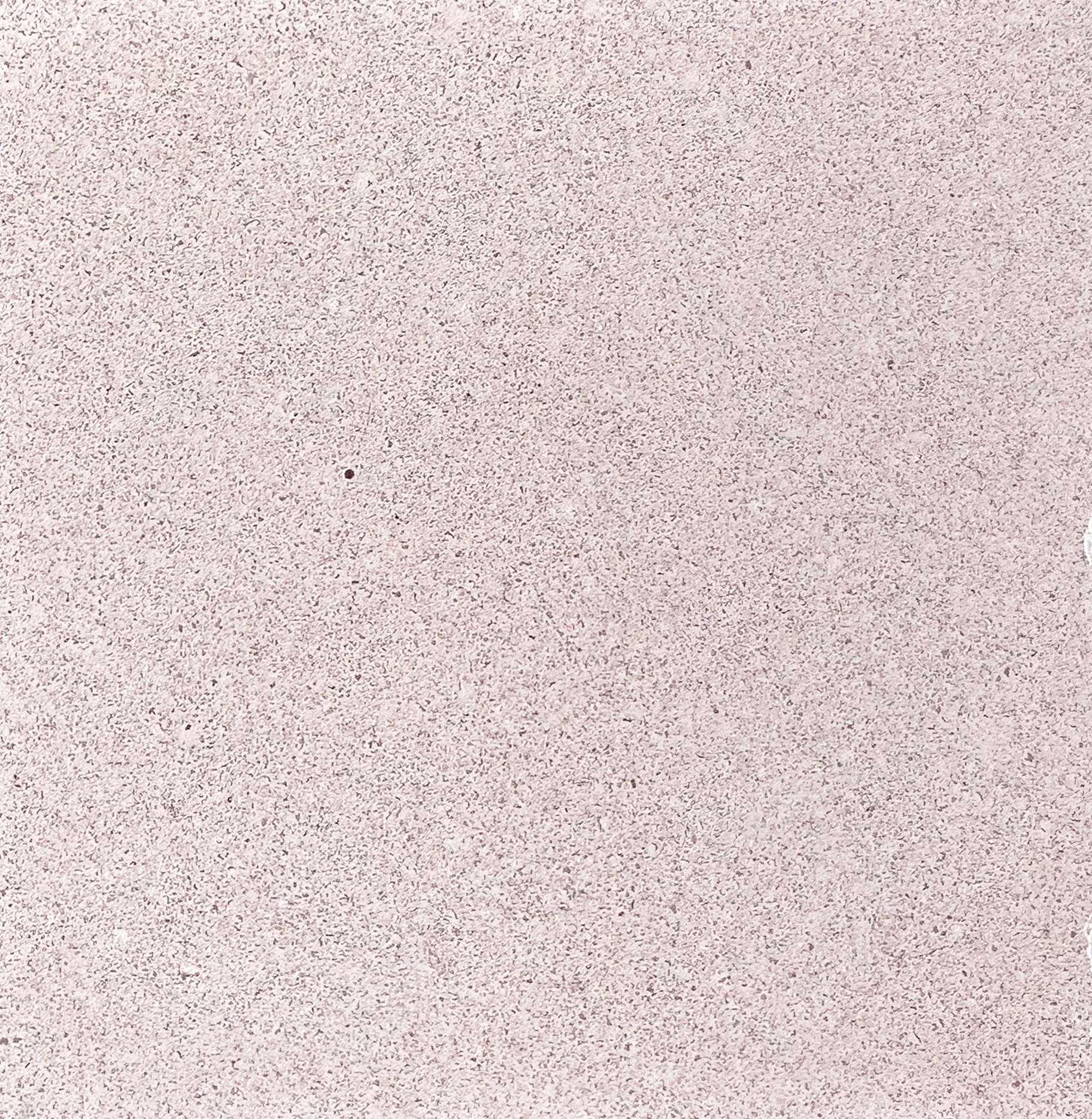 solana // honed concrete tile // sample - Image 18